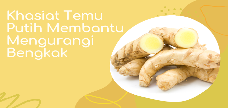 Khasiat Temu Putih Membantu Mengurangi Bengkak